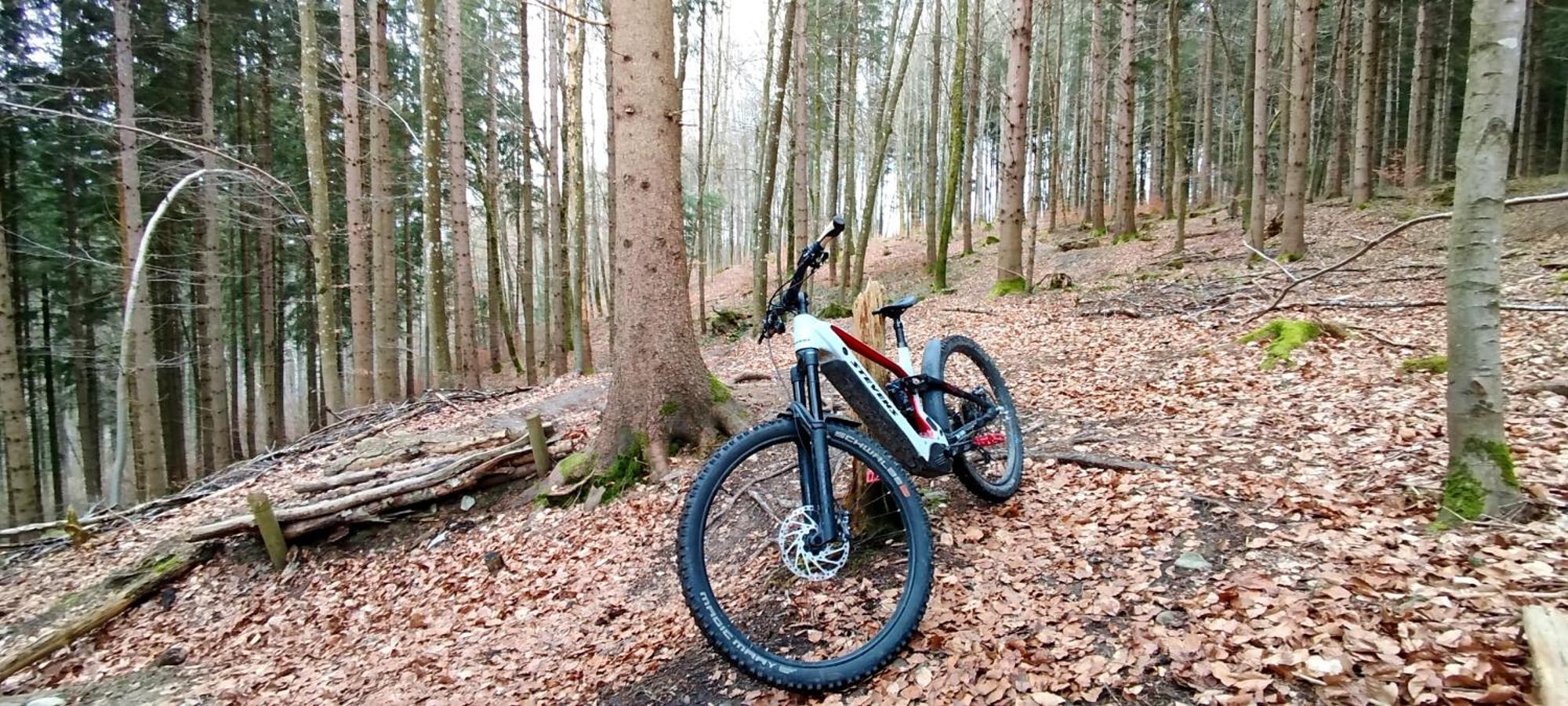 Ferienwohnung Hecht - Biketrail Fun & Relaxing Wolfegg Экстерьер фото